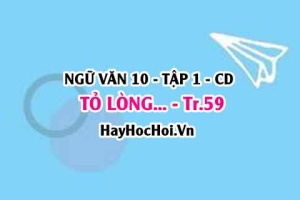 Soạn bài Tỏ lòng (tự đánh giá) trang 59 lớp 10 Cánh Diều tập 1